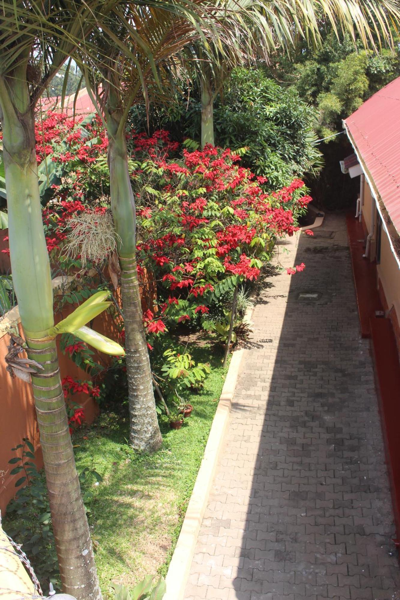Montane Safaris Hotel Fort Portal Eksteriør billede